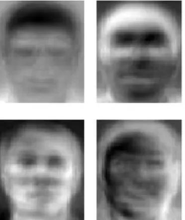 Figura 10: Eigenfaces en una cara   Fuente: ("The Database of Faces", 2002) 