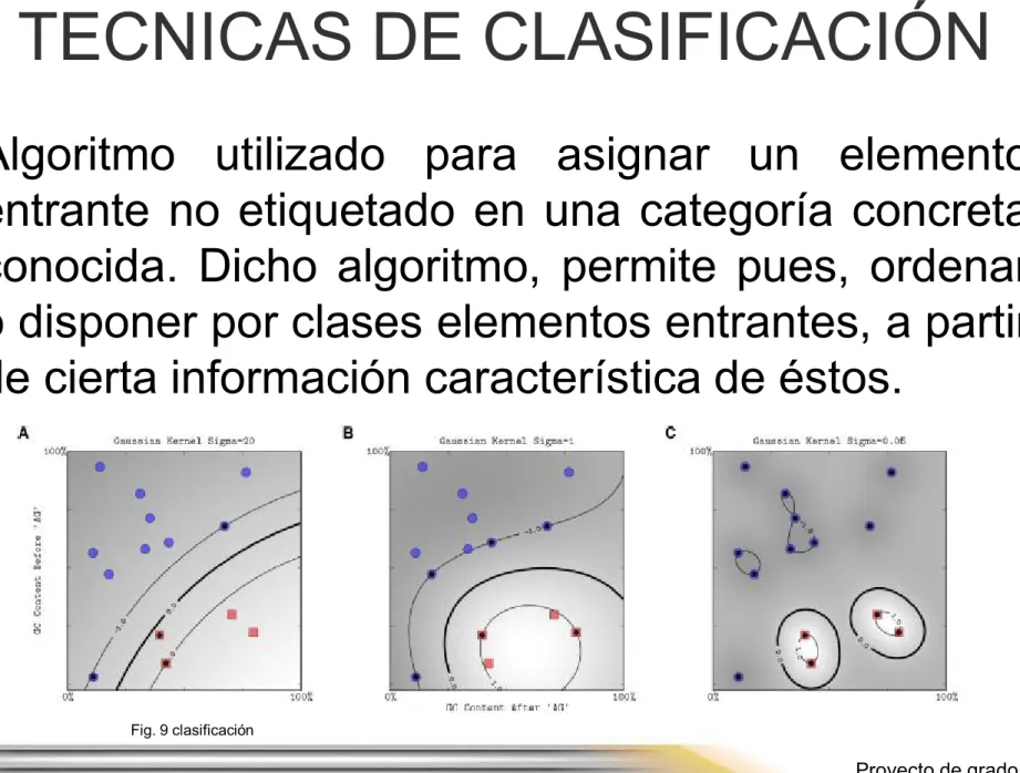 Fig. 9 clasificación 