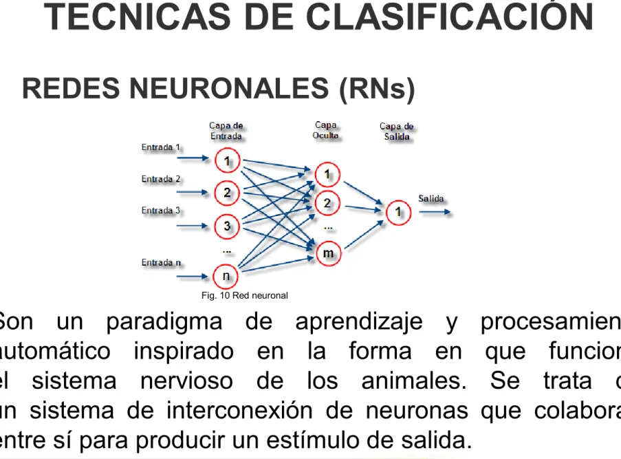 Fig. 10 Red neuronal