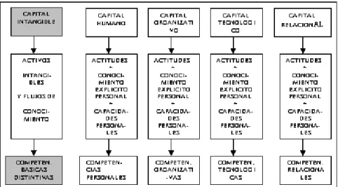 Figura 6.  Estructura y Función del Capital Intangible.