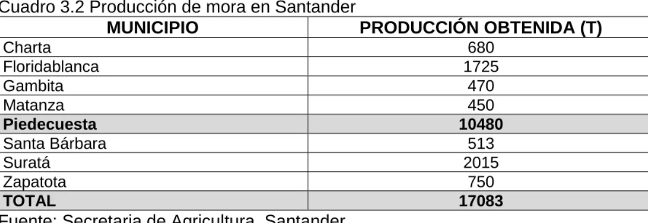 Cuadro 3.2 Producción de mora en Santander 