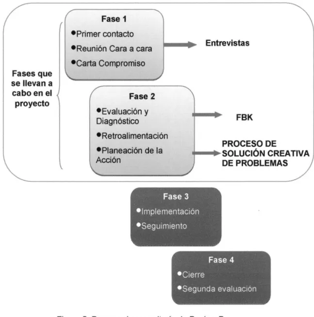 Figura 5:  Proceso de consultoría de  Davis y Dyer 