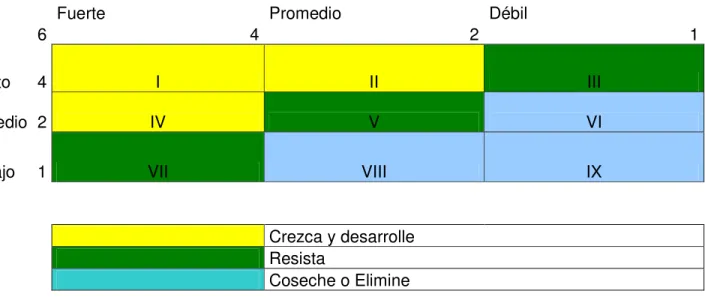TABLA 7.  MATRIZ INTERNA EXTERNA 