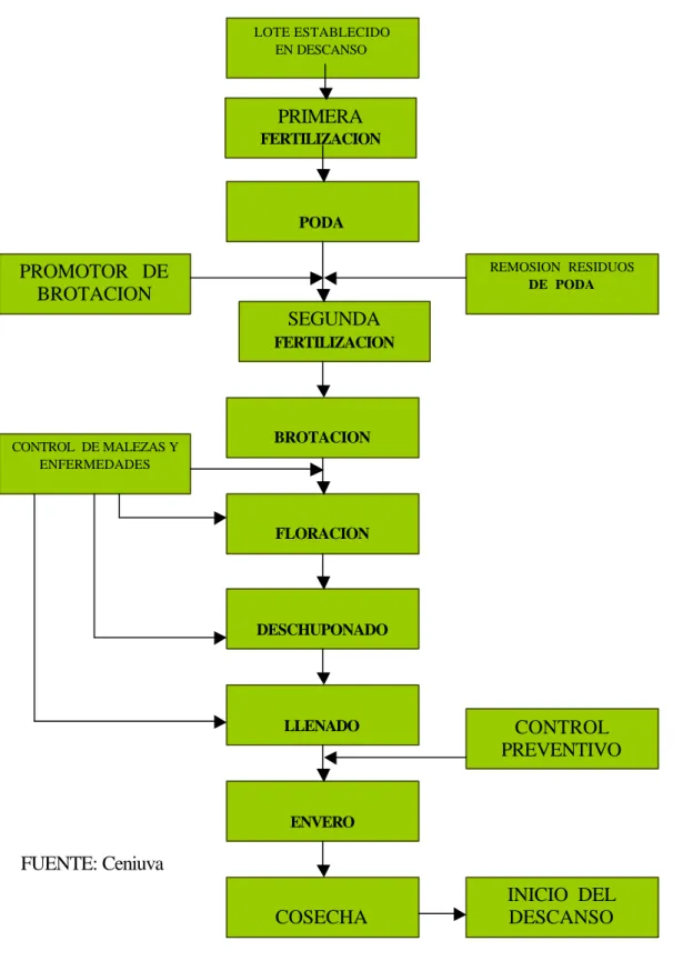 Gráfico No. 1. 