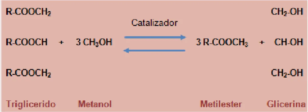 Figura 6. Reacción de transesterificación 
