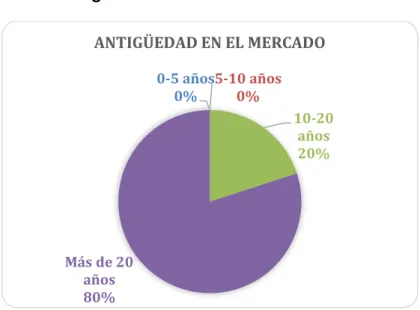 Gráfico 13 – Antigüedad en el mercado