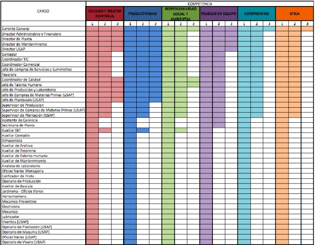 Tabla 4: Asignación de Competencias Cardinales 