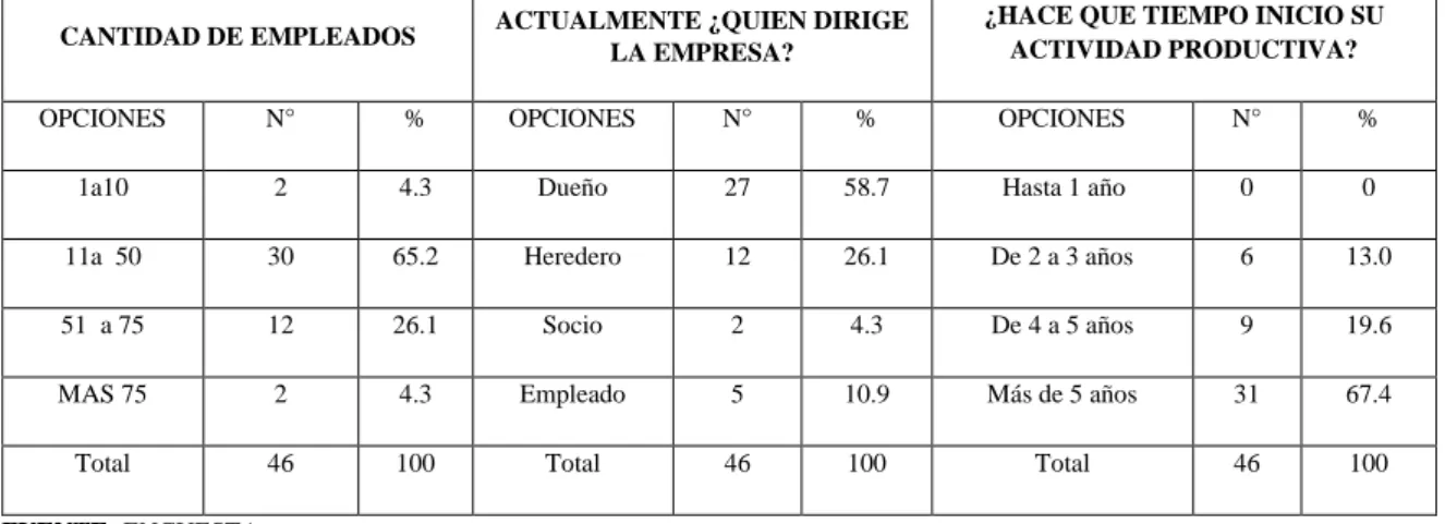 Gráfico Nº 2 Componentes de la Empresa 