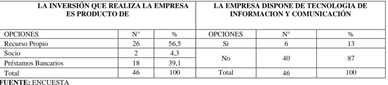 Cuadro Nº  7 La  Empresa Invierte en  Tecnología y en las Tics 