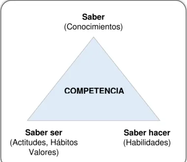 Figura 1. Elementos de una competencia. 