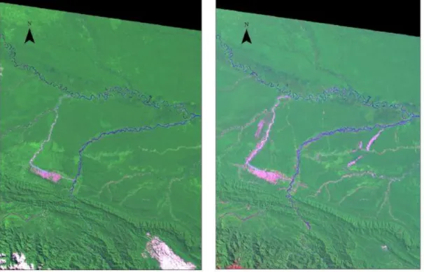 Figure 1 offers a distant view of the Madre de Dios basin and the expansion of the mining  activity in the Malinowski sub basin