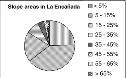 Figure 3.1. Soil map of La Encañada watershed, Peru, based on Jimenez (1996).