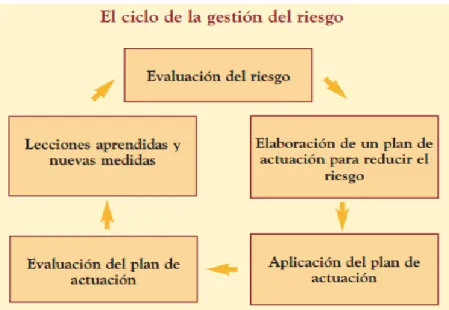 Figura 4: El ciclo de la gestión del riesgo 