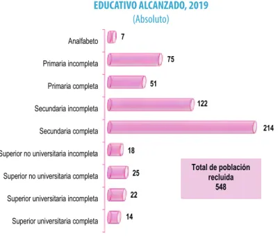 Gráfico Nº 2.33