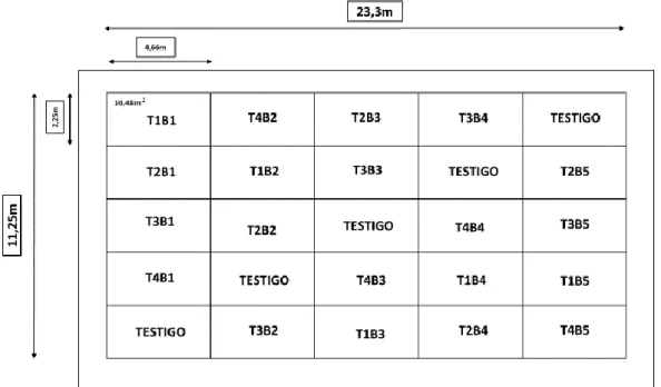Tabla 6. Análisis estadístico. 