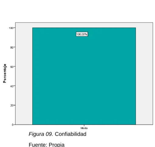 Tabla x. Confiabilidad 