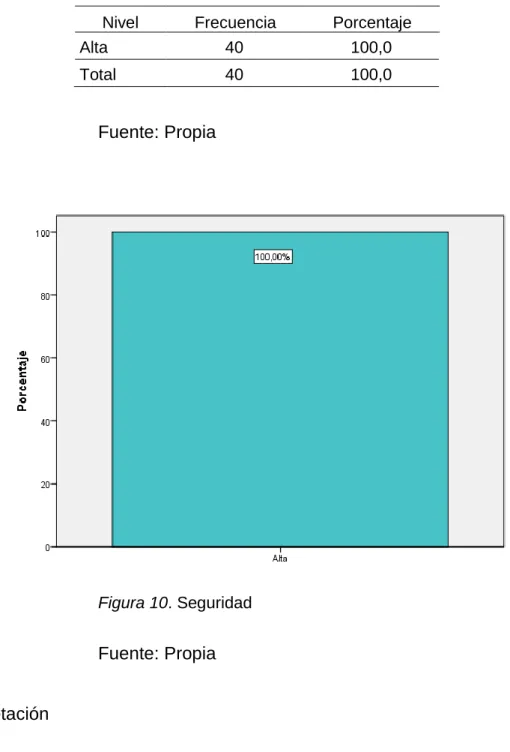 Figura 10. Seguridad 