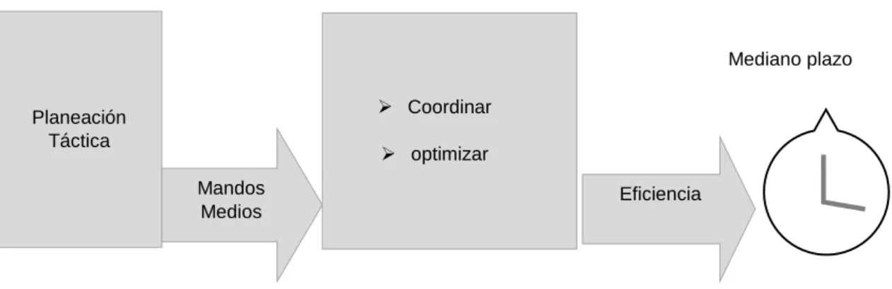 Figura 5 Planeación táctica 