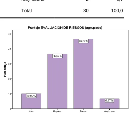 Figura 2: Nivel de evaluación de riesgos 