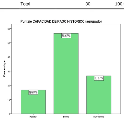 Tabla 7: Nivel de capacidad de pago histórico 