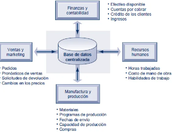 Figura 9: Como funciona los sistemas empresariales 