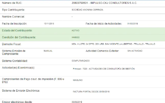 Figura 8.1. Datos de Impulso Consultores 