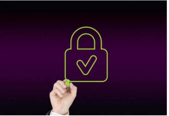 Figura 6: Protección de Datos.  
