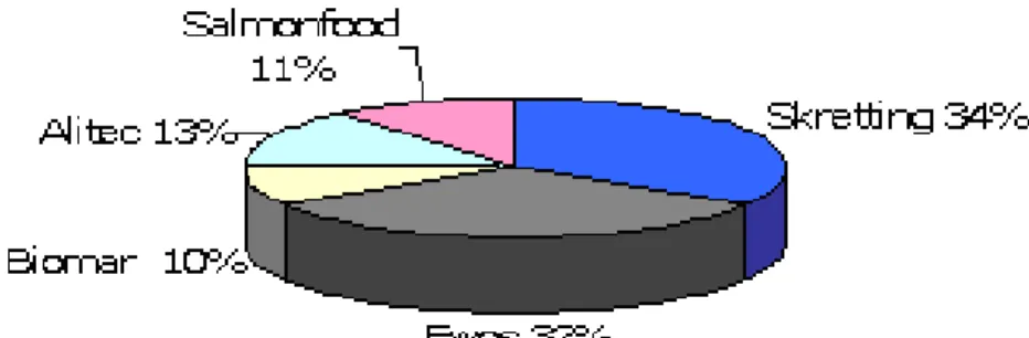 Figura 1.1: Participaci´ on de Mercado en Chile 2006