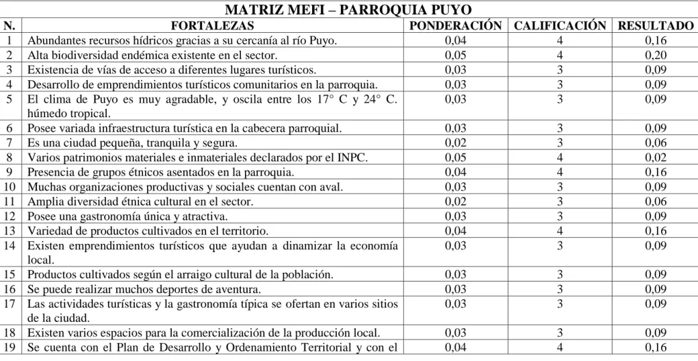 Tabla 5. Matriz MEFI – Puyo 