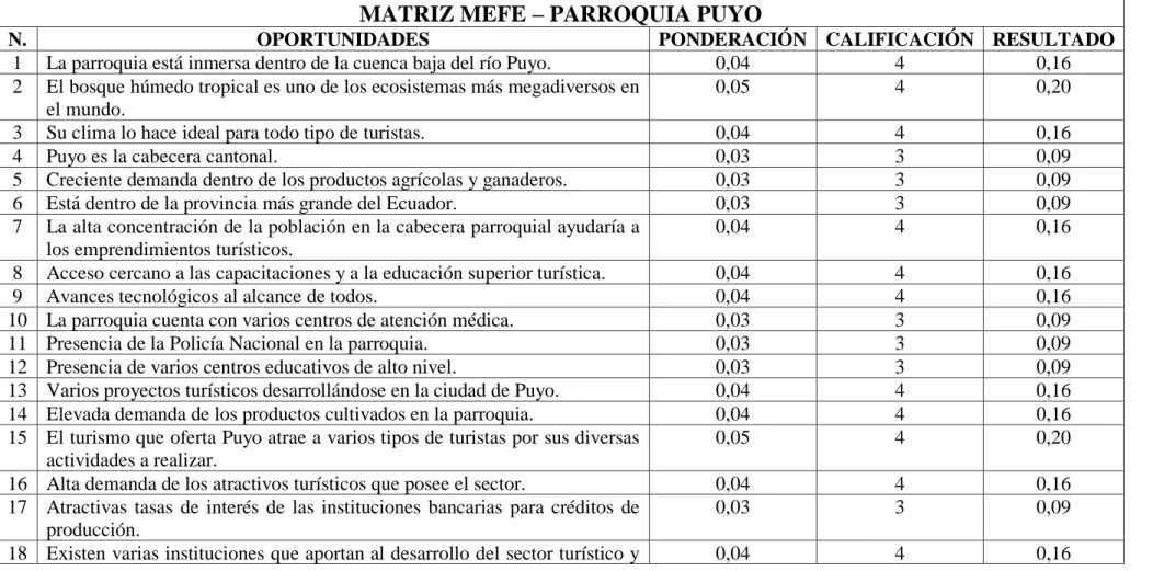 Tabla 6. Matriz MEFE – Puyo 