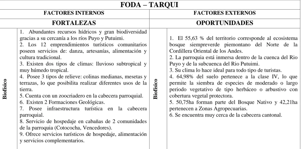 Tabla 9. Matriz FODA – Tarqui 