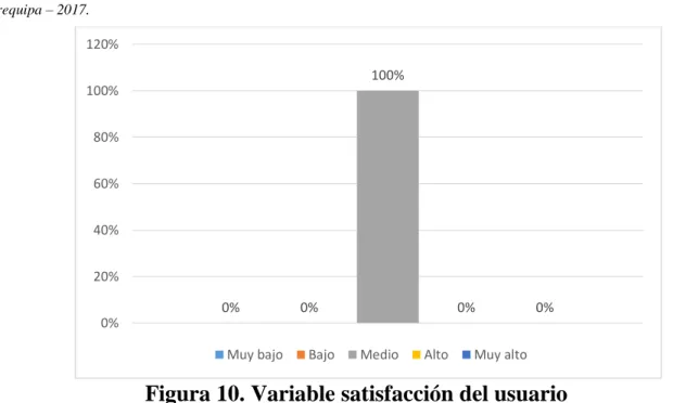 Figura 10. Variable satisfacción del usuario 