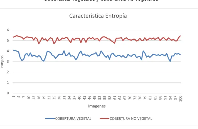 Gráfico 1: Característica Entropía 