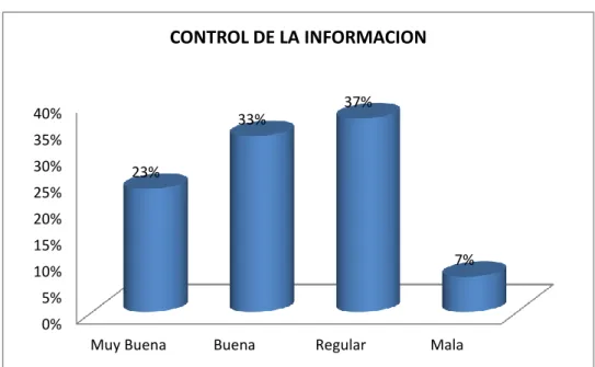 Gráfico 5 Control de la Información 