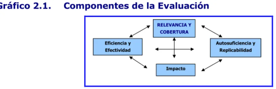 Gráfico 2.1.  Componentes de la Evaluación 