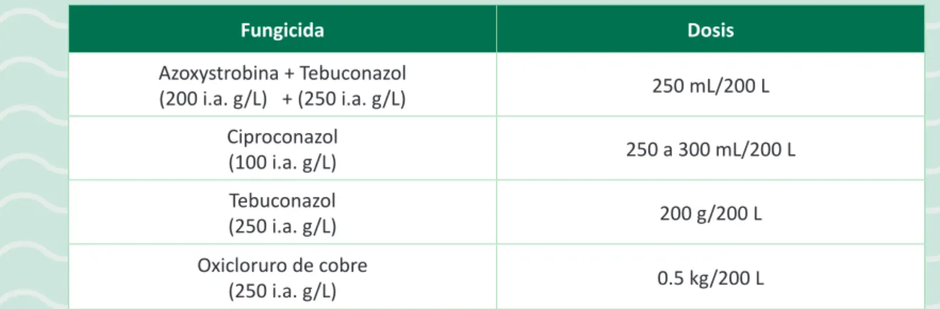 Tabla 6. Dosis de aplicación de Trichoderma spp. para el control de Mycena citricolor Nota