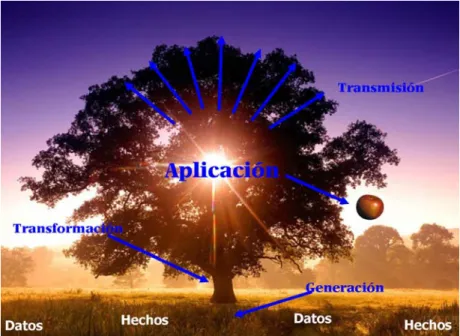 Figura 20. Árbol del conocimiento 