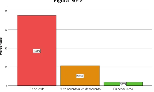 Figura No- 5 