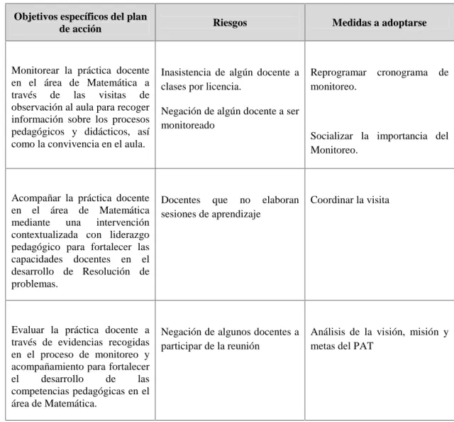 Figura 6. Riesgos y Medidas a Adoptarse en la Implementación del Plan de Acción .