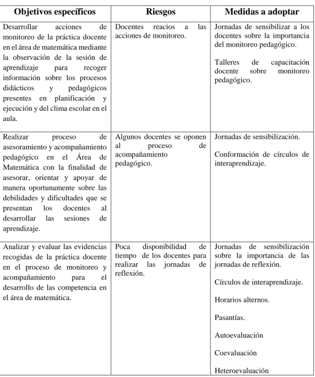 Figura 6. Riesgos y Medidas del Plan de Acción 