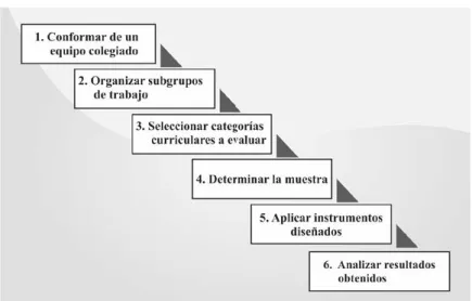 Figura 1 Pasos para evaluar el currículum
