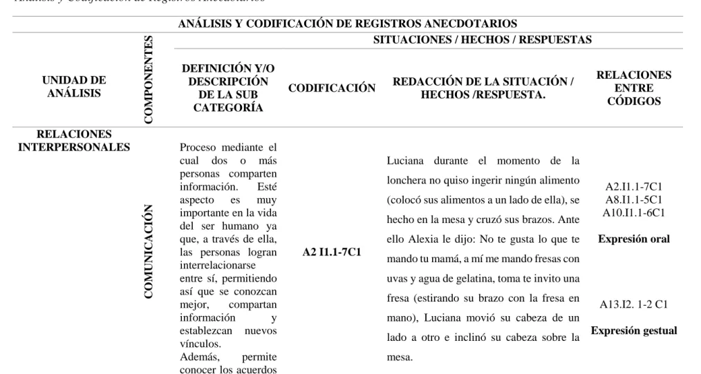 Tabla 5: Análisis y Codificación de Registros Etnográficos 