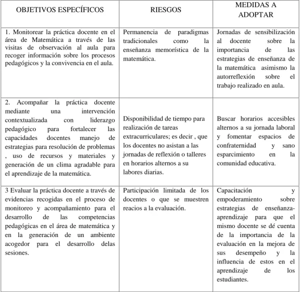 Figura 6 . Riesgos y medidas a adoptar del Plan de Acción .