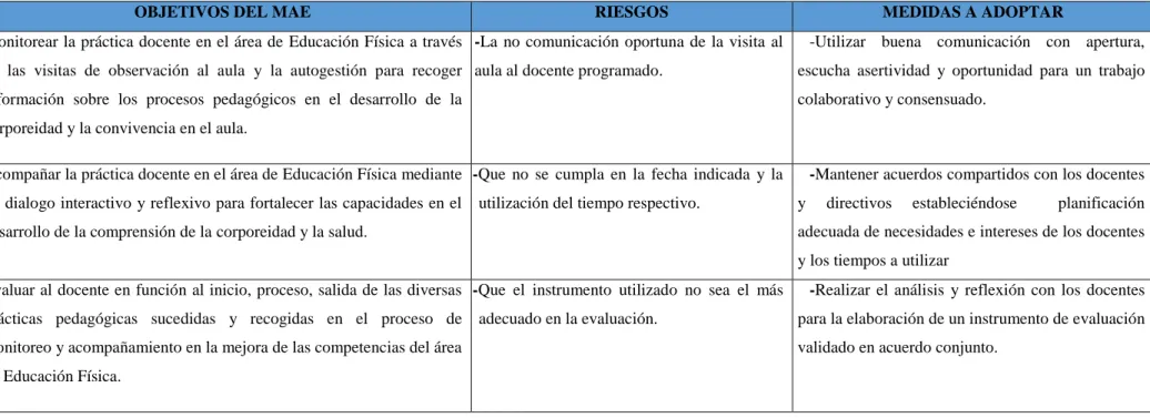 Figura 6. Riesgos y Medidas del Proceso de implementación del Plan de Acción. 
