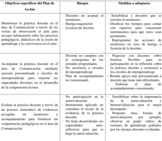 Figura 6. Riesgos y medidas a adoptarse en el Plan de Acción. 