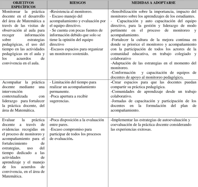 Figura 6. Riesgos y medidas a adoptarse en el Plan de Acción. 