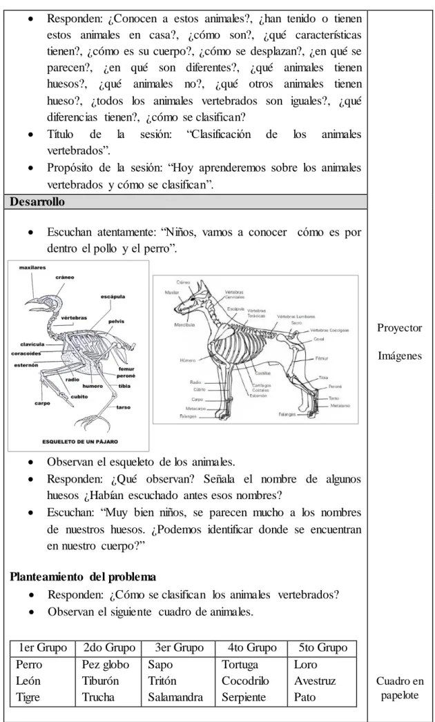 Cuadro en  papelote Desarrollo 