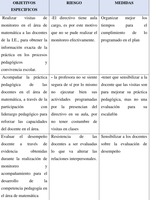 Figura 6. Riesgos y medidas del Plan de Acción