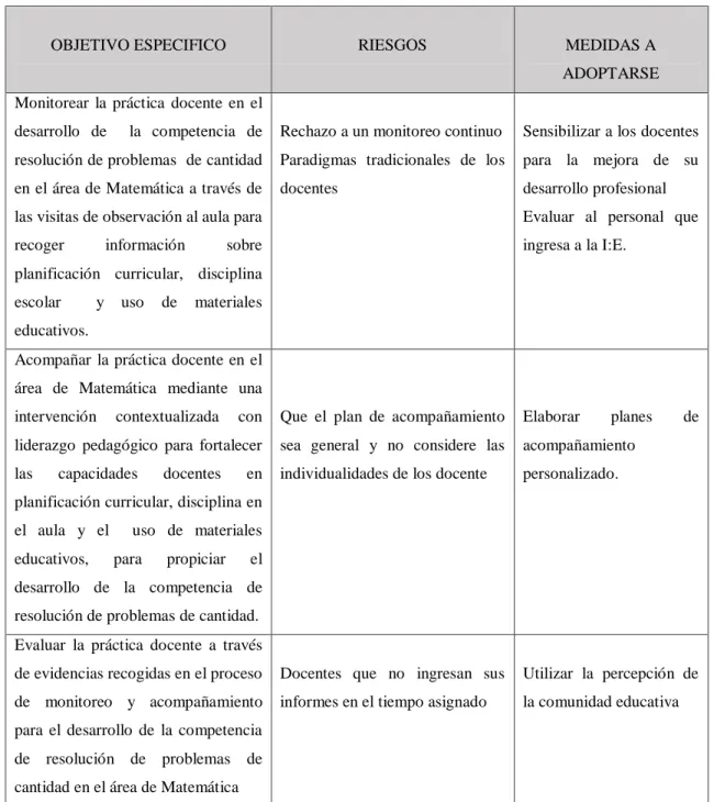 Figura 6. Riesgos y medidas de Plan de Acción 