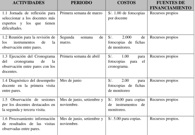 Figura 7. Cuadro de presupuesto del Plan de Acción. 